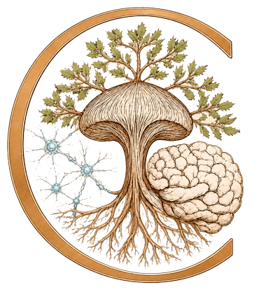 logo (3)